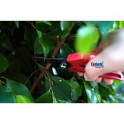 Gunting Pruning Shear Alat Pemotong Dahan Ranting Pohon Tanaman Kebun - Image 2