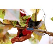 Gunting Pruning Shear Alat Pemotong Dahan Ranting Pohon Tanaman Kebun - Image 3